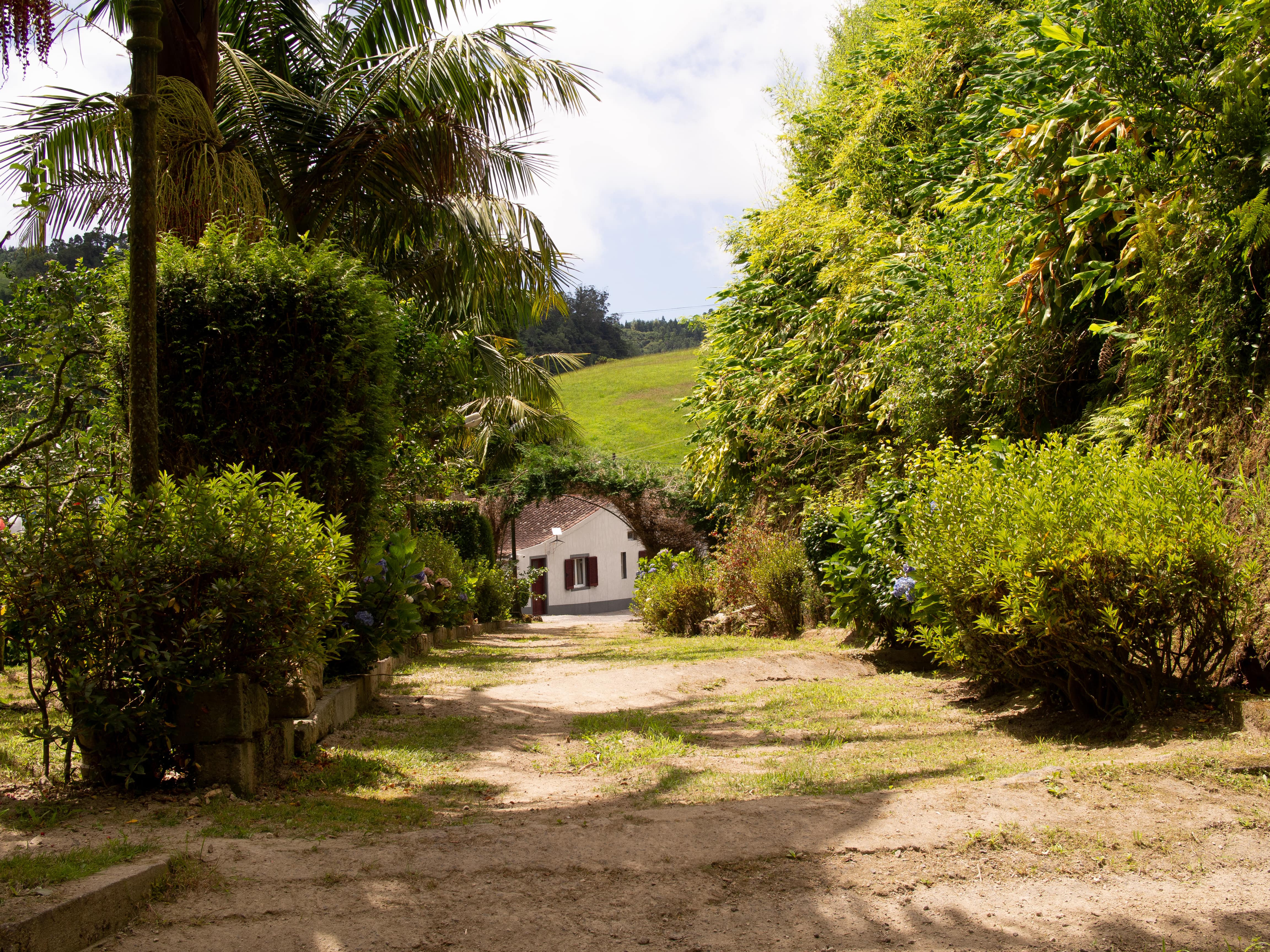The path at Laughing Orchard
