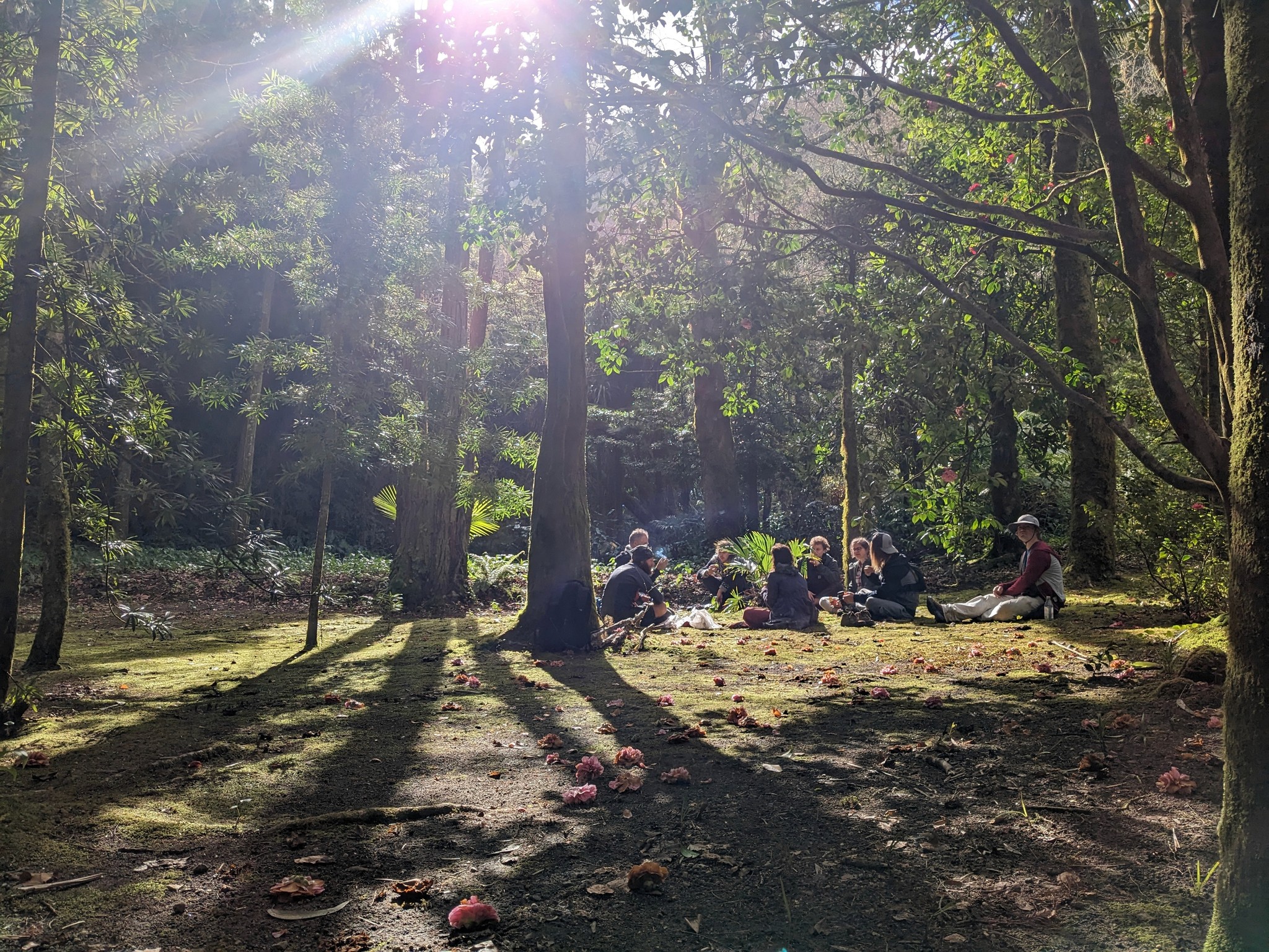 Gathering at the Laughing Orchard