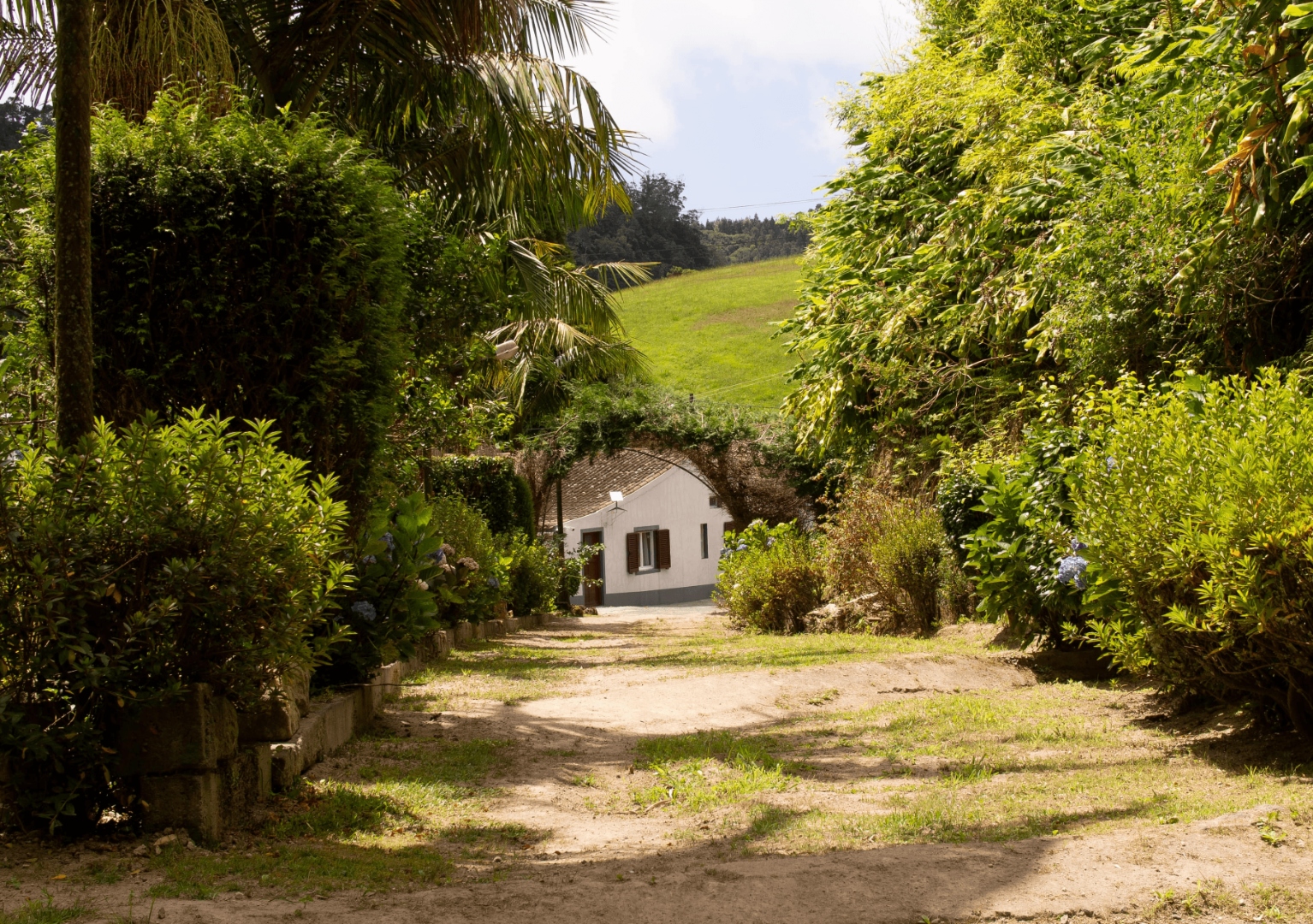 The path to the cottage at Laughing Orchard