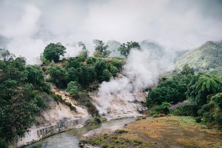 Volcanic steam rising through the forest at Furnas